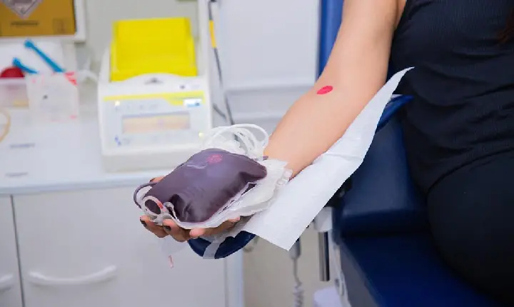 Conheça os requisitos para a doação de sangue