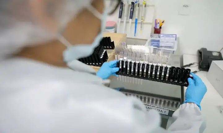 Fiocruz obtém patente para tratamento contra malária resistente