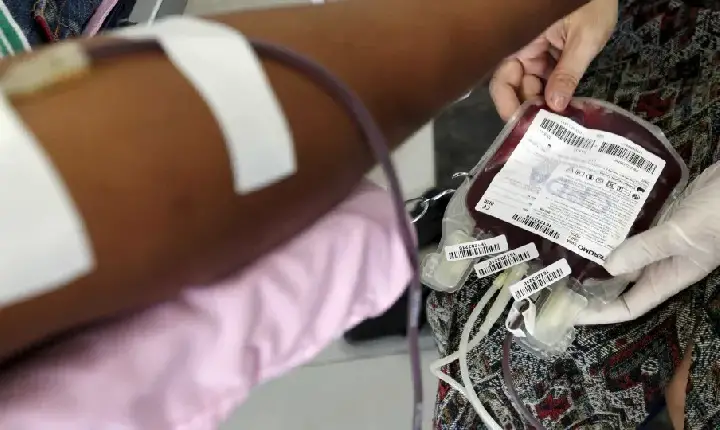 Novas regras de doação de sangue reduzem espera para quem fez tatuagem
