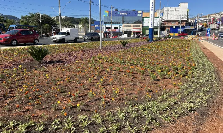 Rotatória do Ginásio do Polvilho recebe novo paisagismo e começa a ganhar nova aparência