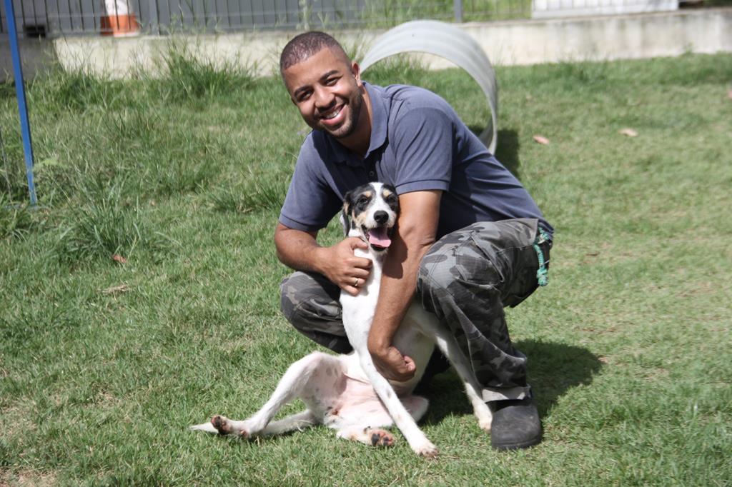 Adota Delivery já encontrou um lar para 523 pets desde que foi criado