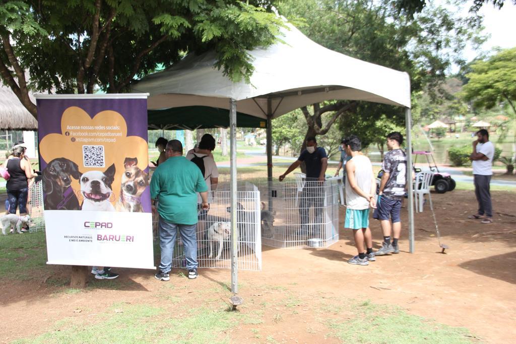 Maio chega com as Feiras de Adoção de Pets em vários pontos de Barueri