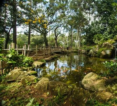 Prefeitura comemora 100 milhões de visitas em seus parques nos 3 últimos anos