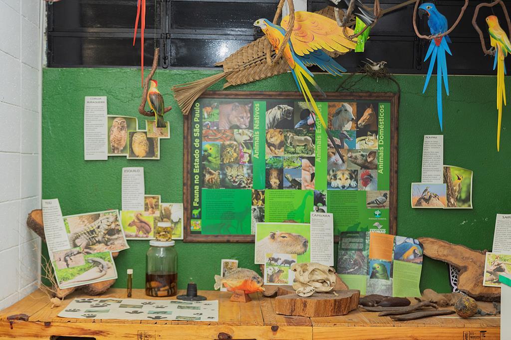 Confira a programação da Sala Verde Barueri neste recesso escolar de julho