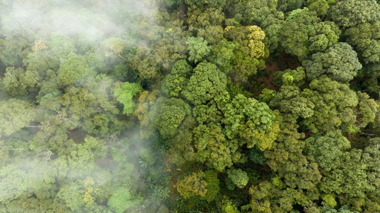 ONU estima que fenômeno climático El Niño pode durar pelo menos até abril de 2024