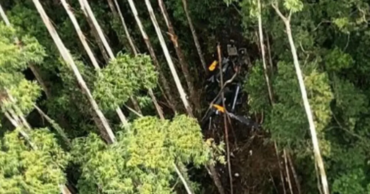 Helicóptero que desapareceu com 4 pessoas em SP é encontrado por equipes de buscas em Paraibuna