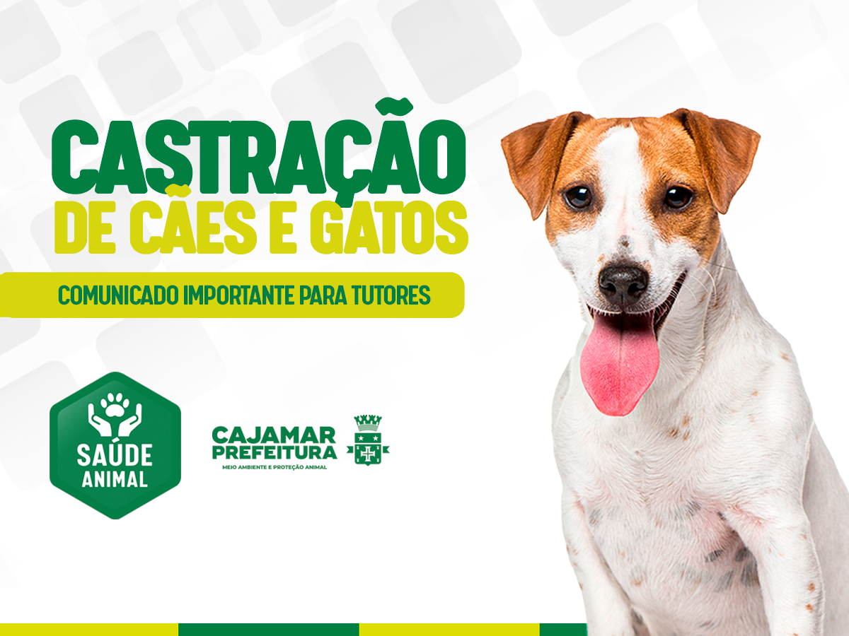 Comunicado importante para os tutores de animais de Cajamar