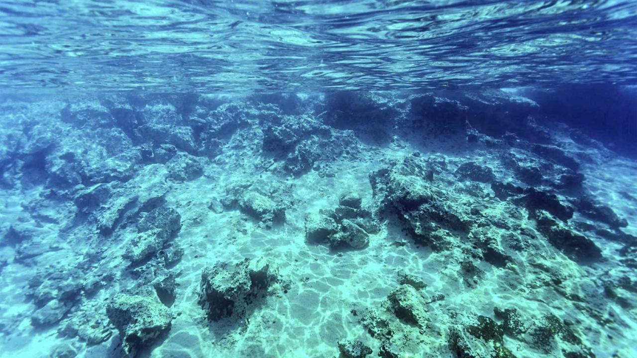 Casal perde celular no mar e encontra aparelho dias depois (funcionando)