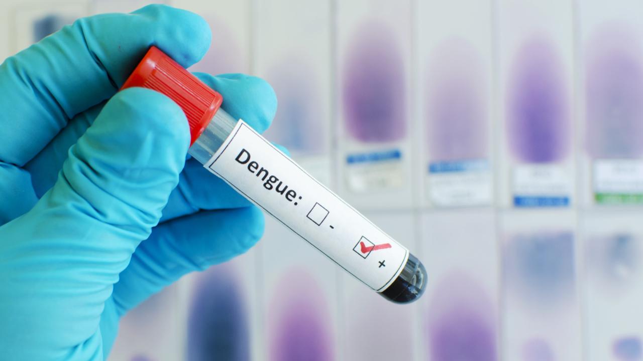 São Paulo tem 19 mortes por dengue e aumento de 35% nos casos em uma semana
