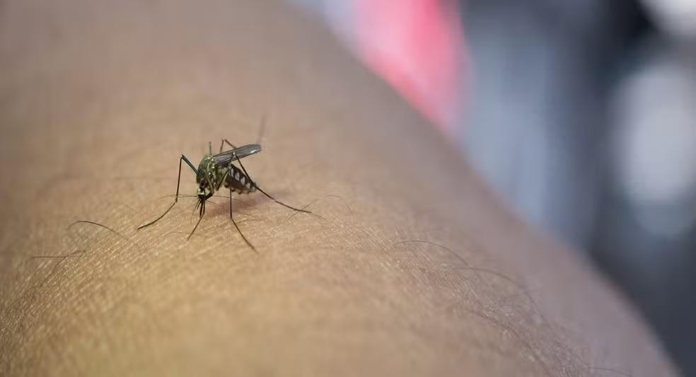 Apenas dois dos 96 bairros da cidade de SP não enfrentam epidemia de dengue