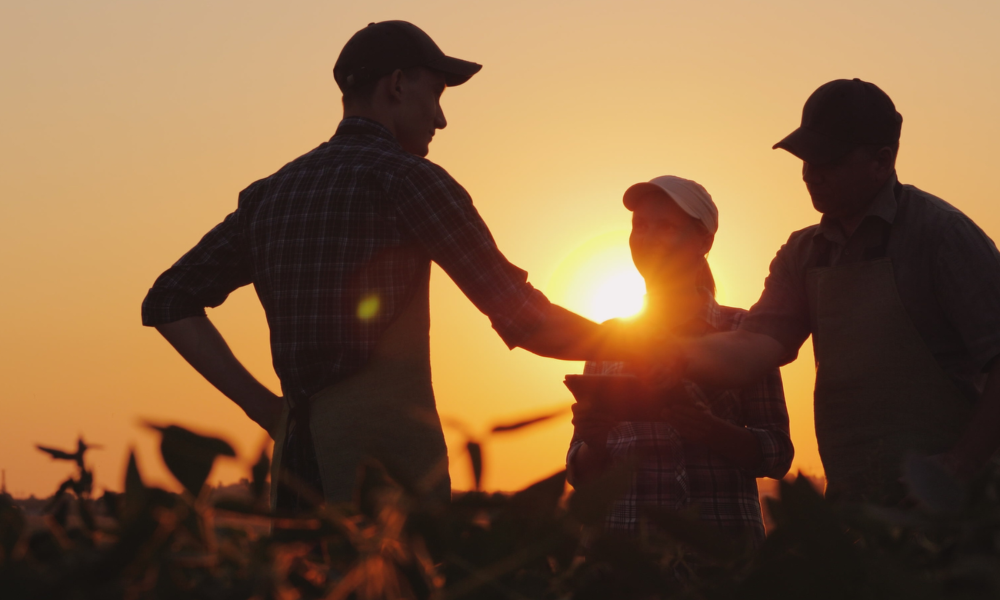 Governo de SP anuncia pacote de investimentos de R$ 1,4 bi para o agronegócio