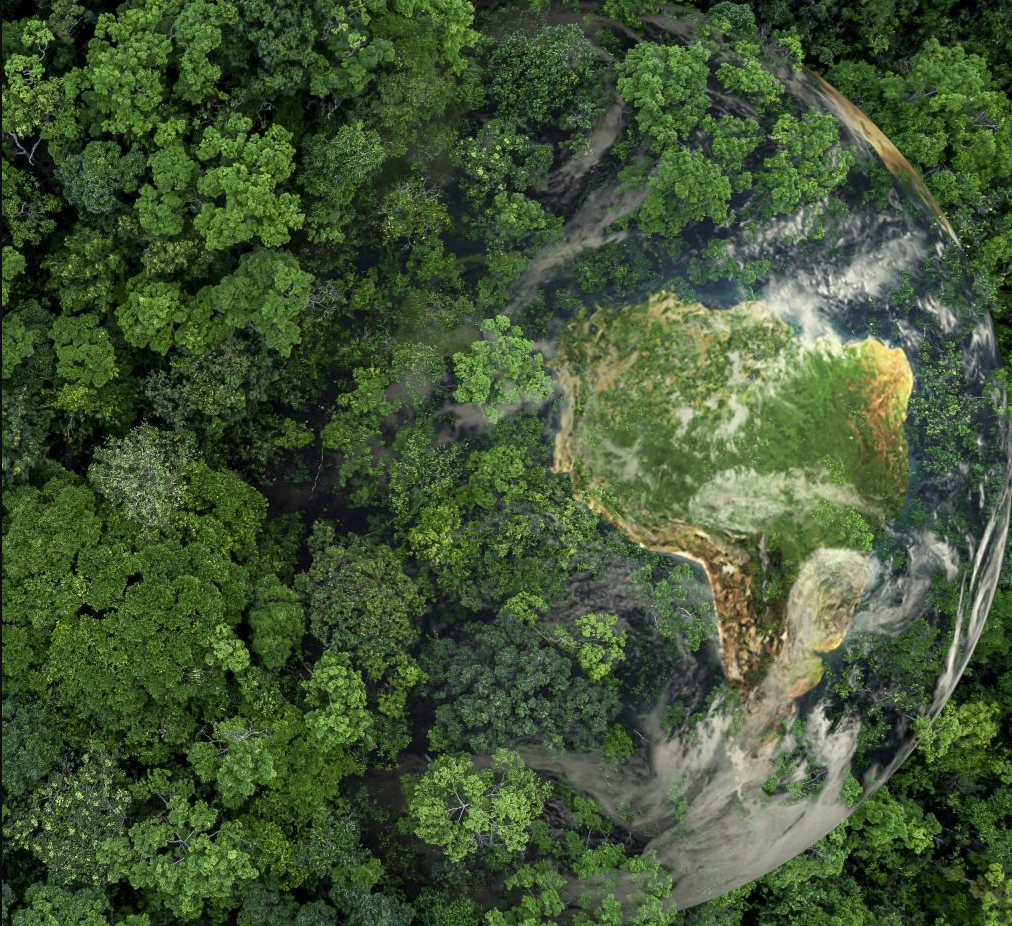 Governo de SP publica três resoluções em prol da sustentabilidade no estado