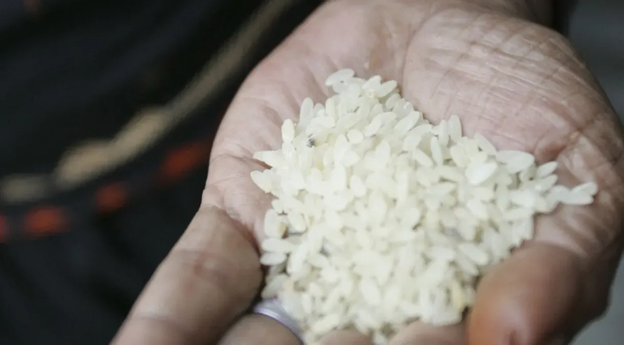 Brasil estima gasto de R$2,3 bi em 1ª operação com arroz importado e controle de preço