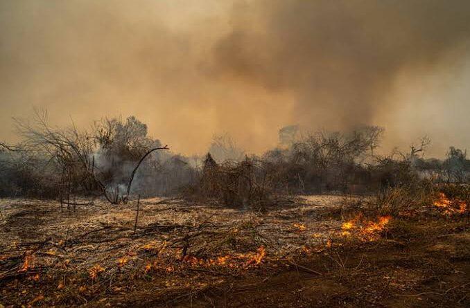 “Esse fogo é criminoso”, diz Lula sobre incêndios pelo país