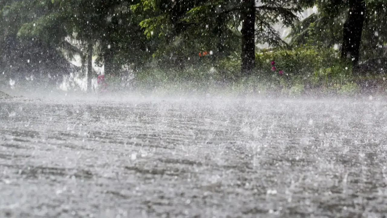 Tempestade prevista para sexta (18) deve atingir todo o estado de SP, com ventos de 60 km/h