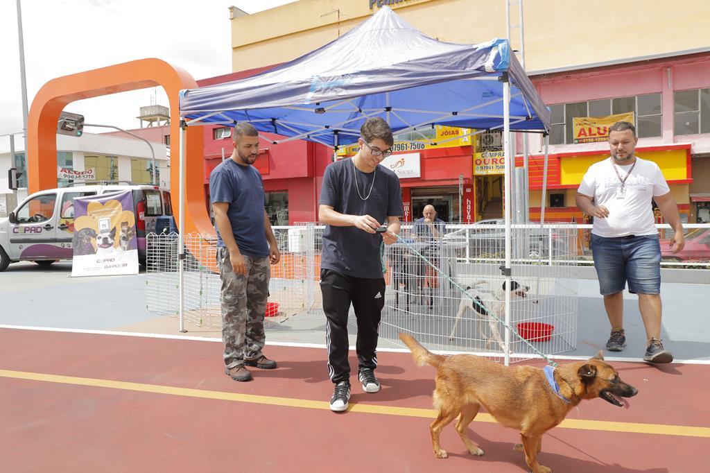 As feiras de adoção de pets começam dia 8 em Barueri