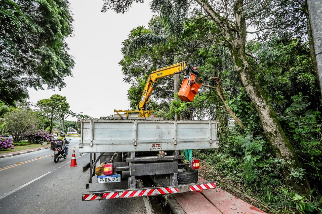 Serviço de poda de árvores é intensificado para manutenção da iluminação pública